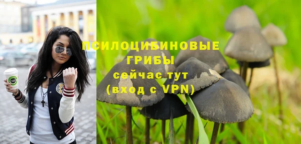 соль ск Алексеевка