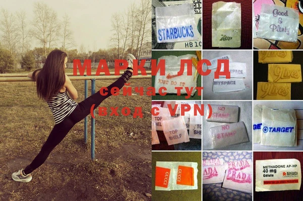 соль ск Алексеевка
