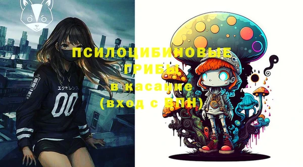 ешки Алексин