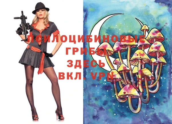 соль ск Алексеевка