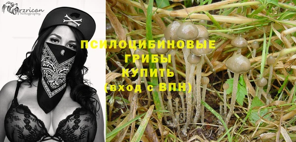 ешки Алексин